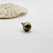 Load image into Gallery viewer, Civa Fiji Saltwater Loose Pearl - FJD$