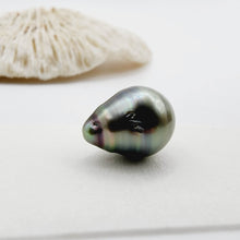Load image into Gallery viewer, READY TO SHIP Civa Fiji Saltwater Pearl Bracelet - 14k Gold Fill FJD$