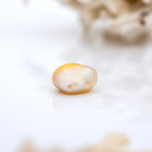 Load image into Gallery viewer, Civa Fiji Loose Keshi Pearl - FJD$