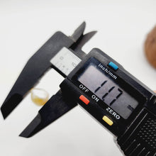 Load image into Gallery viewer, Civa Fiji Loose Keshi Pearl - FJD$