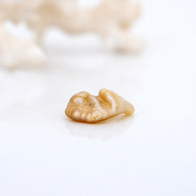 Load image into Gallery viewer, Civa Fiji Loose Keshi Pearl - FJD$