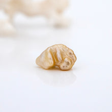 Load image into Gallery viewer, Civa Fiji Loose Keshi Pearl - FJD$