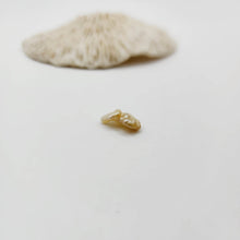 Load image into Gallery viewer, Civa Fiji Loose Keshi Pearl - FJD$