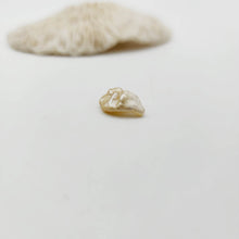 Load image into Gallery viewer, Civa Fiji Loose Keshi Pearl - FJD$