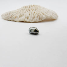 Load image into Gallery viewer, Civa Fiji Loose Keshi Pearl - FJD$