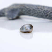 Load image into Gallery viewer, Civa Fiji Loose Keshi Pearl - FJD$