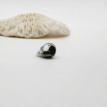 Load image into Gallery viewer, Civa Fiji Loose Keshi Pearl - FJD$