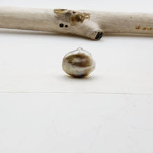 Load image into Gallery viewer, Civa Fiji Loose Keshi Pearl - FJD$