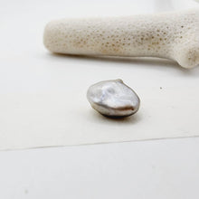Load image into Gallery viewer, Civa Fiji Loose Keshi Pearl - FJD$