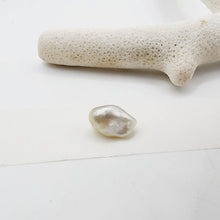 Load image into Gallery viewer, Civa Fiji Saltwater Loose Pearl - FJD$