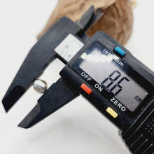 Load image into Gallery viewer, Civa Fiji Loose Keshi Pearl - FJD$