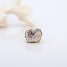 Load image into Gallery viewer, Civa Fiji Loose Keshi Pearl - FJD$