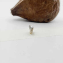 Load image into Gallery viewer, Civa Fiji Loose Keshi Pearl - FJD$