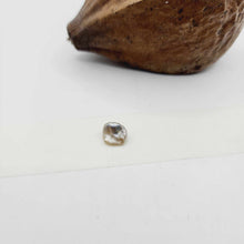 Load image into Gallery viewer, Civa Fiji Loose Keshi Pearl - FJD$