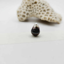 Load image into Gallery viewer, Civa Fiji Loose Pearl - FJD$