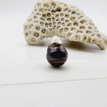 Load image into Gallery viewer, Civa Fiji Loose Pearl - FJD$