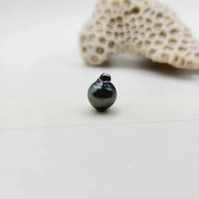 Load image into Gallery viewer, Civa Fiji Loose Pearl - FJD$