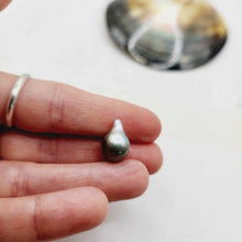 Load image into Gallery viewer, Civa Fiji Loose Pearl - FJD$