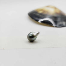 Load image into Gallery viewer, Civa Fiji Loose Pearl - FJD$