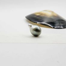 Load image into Gallery viewer, Civa Fiji Loose Pearl - FJD$