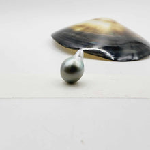 Load image into Gallery viewer, Civa Fiji Loose Pearl - FJD$