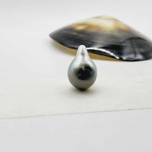 Load image into Gallery viewer, Civa Fiji Loose Pearl - FJD$