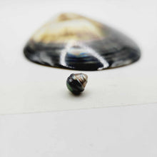 Load image into Gallery viewer, Civa Fiji Loose Pearl - FJD$