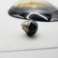 Load image into Gallery viewer, Civa Fiji Loose Pearl - FJD$