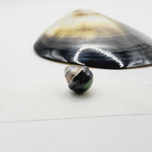 Load image into Gallery viewer, Civa Fiji Loose Pearl - FJD$