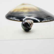 Load image into Gallery viewer, Civa Fiji Loose Pearl - FJD$