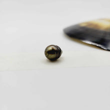 Load image into Gallery viewer, Civa Fiji Loose Pearl - FJD$