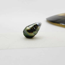 Load image into Gallery viewer, Civa Fiji Loose Pearl - FJD$