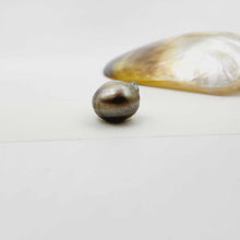 Load image into Gallery viewer, Civa Fiji Loose Pearl - FJD$