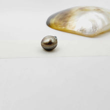 Load image into Gallery viewer, Civa Fiji Loose Pearl - FJD$