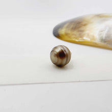 Load image into Gallery viewer, Civa Fiji Loose Pearl - FJD$