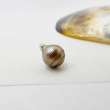 Load image into Gallery viewer, Civa Fiji Loose Pearl - FJD$