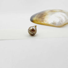 Load image into Gallery viewer, Civa Fiji Loose Pearl - FJD$