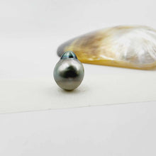 Load image into Gallery viewer, Civa Fiji Loose Pearl - FJD$