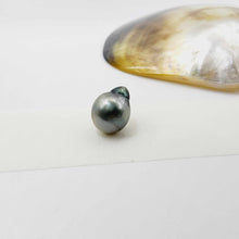 Load image into Gallery viewer, Civa Fiji Loose Pearl - FJD$