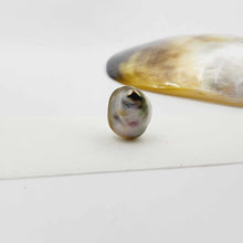 Load image into Gallery viewer, Civa Fiji Loose Pearl - FJD$