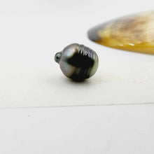 Load image into Gallery viewer, Civa Fiji Loose Pearl - FJD$