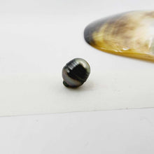 Load image into Gallery viewer, Civa Fiji Loose Pearl - FJD$