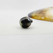 Load image into Gallery viewer, Civa Fiji Loose Pearl - FJD$