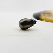 Load image into Gallery viewer, Civa Fiji Loose Pearl - FJD$