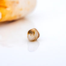 Load image into Gallery viewer, Civa Fiji Loose Keshi Pearl - FJD$