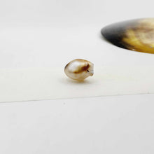 Load image into Gallery viewer, Civa Fiji Loose Keshi Pearl - FJD$