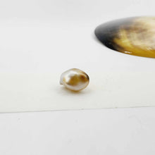 Load image into Gallery viewer, Civa Fiji Loose Keshi Pearl - FJD$