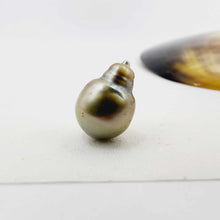 Load image into Gallery viewer, Civa Fiji Loose Pearl - FJD$