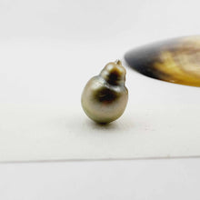 Load image into Gallery viewer, Civa Fiji Loose Pearl - FJD$