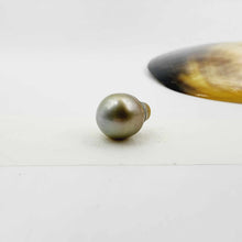 Load image into Gallery viewer, Civa Fiji Loose Pearl - FJD$